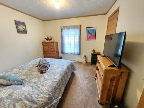 11430 Taft Rd, Hornby, NY 14830 photo 18