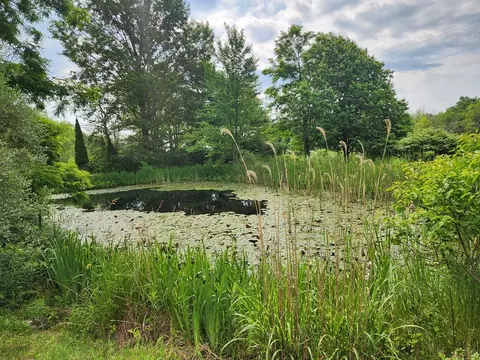 11430 Taft Rd, Hornby, NY 14830 photo 36