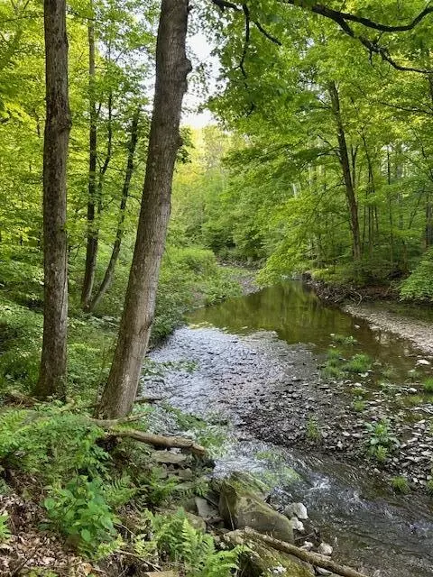 0 Coryland Rd, Wells, PA 16925