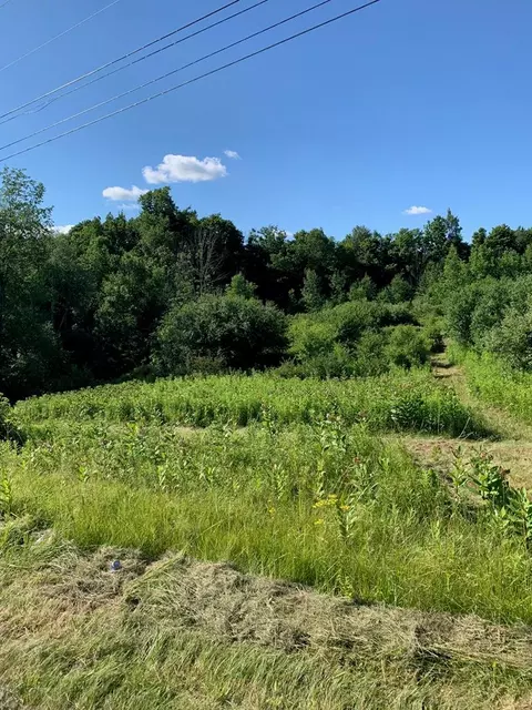 0 County Road 16, Dix, NY 14891