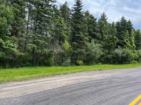 0 Nye Rd, Reading, NY 14878 photo 2