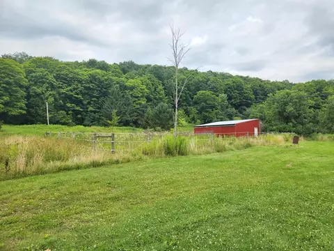 10822 Dry Run Rd, Hornby, NY 14812