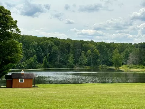 7422 Knowles Rd, Thurston, NY 14821 photo 43