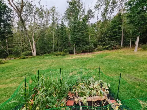 66 Overbrook Rd, Erwin, NY 14870 photo 32