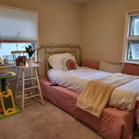 325 Jerome St, Erwin, NY 14870 photo 24