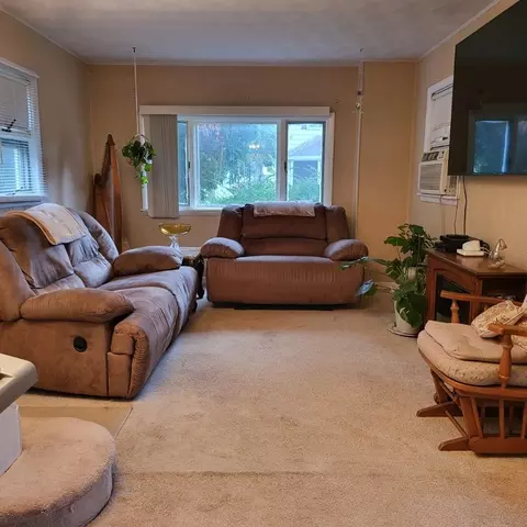 325 Jerome St, Erwin, NY 14870 photo 14