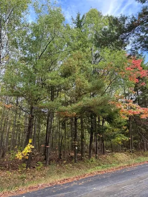 0 Burlingame, Cayuta, NY 14824