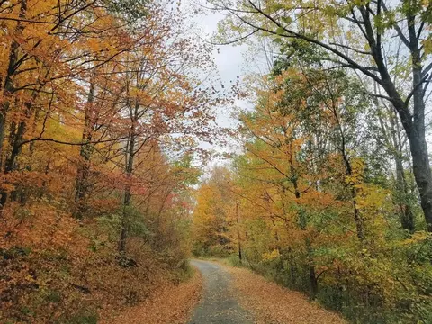 00 Lost Ln, Farmington Twp, PA 16946