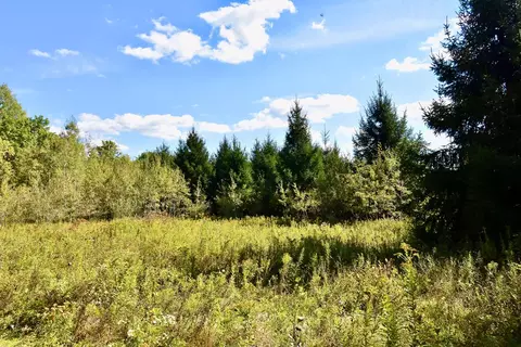 1980 County Rt 81, Rathbone, NY 14801 photo 9