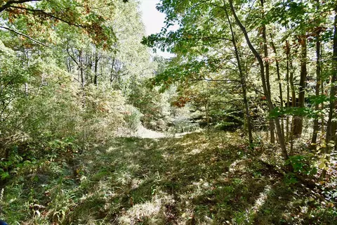 1980 County Rt 81, Rathbone, NY 14801 photo 6