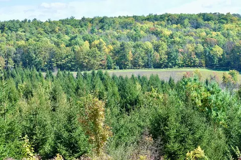 1980 County Rt 81, Rathbone, NY 14801 photo 3
