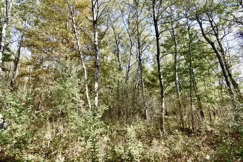 1980 County Rt 81, Rathbone, NY 14801 photo 8