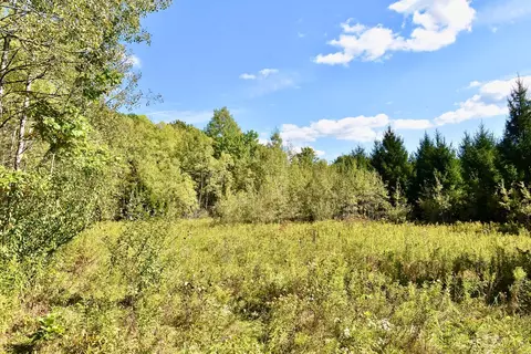 1980 County Rt 81, Rathbone, NY 14801 photo 10