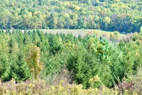 1980 County Rt 81, Rathbone, NY 14801 photo 4