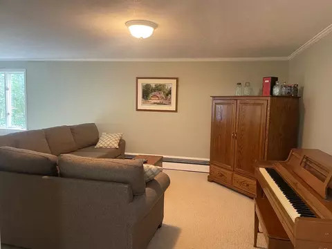 106 Parkview Dr, Erwin, NY 14830 photo 26