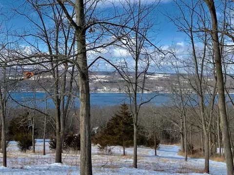 0 Nichols Rd, Hector, NY 14818