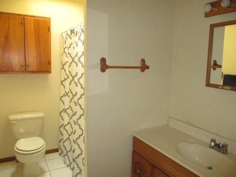 30 Main St, Schenevus, NY 12155 photo 8
