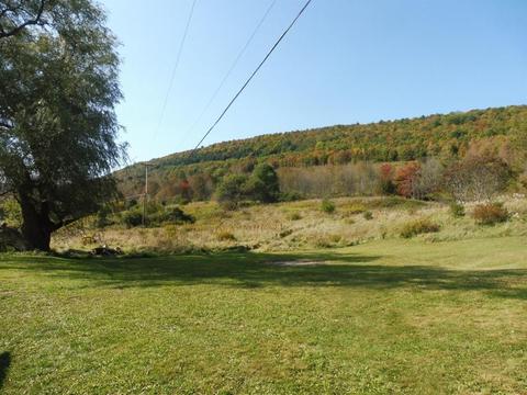 313 Valder Rd, Schenevus, NY 12155 photo 30
