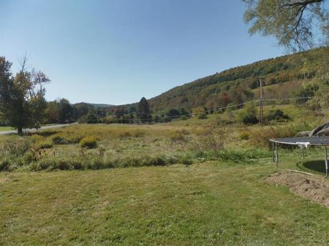 313 Valder Rd, Schenevus, NY 12155 photo 32
