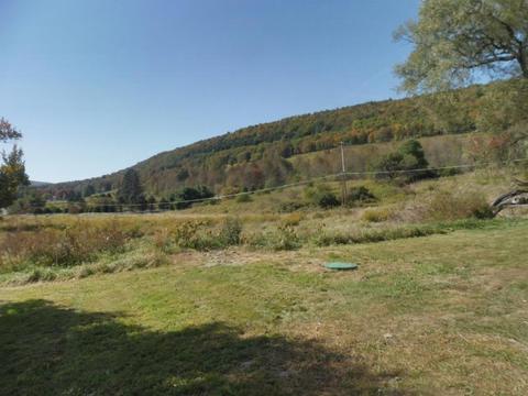 313 Valder Rd, Schenevus, NY 12155 photo 34