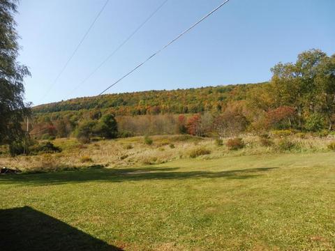 313 Valder Rd, Schenevus, NY 12155 photo 29