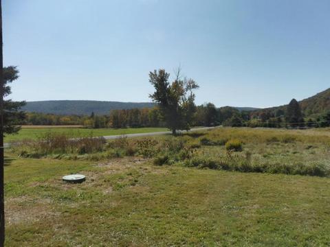 313 Valder Rd, Schenevus, NY 12155 photo 36