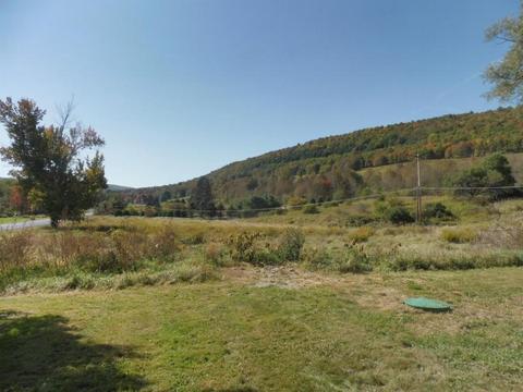 313 Valder Rd, Schenevus, NY 12155 photo 35