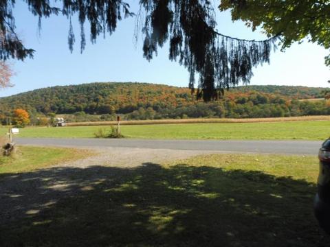 313 Valder Rd, Schenevus, NY 12155 photo 37