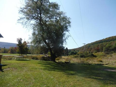 313 Valder Rd, Schenevus, NY 12155 photo 31