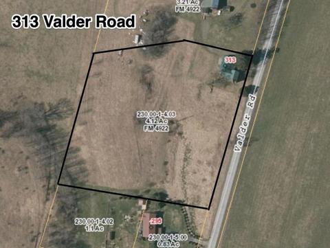 313 Valder Rd, Schenevus, NY 12155 photo 23