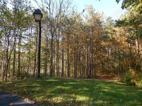 215 River Rd, Unadilla, NY 13849 photo 31