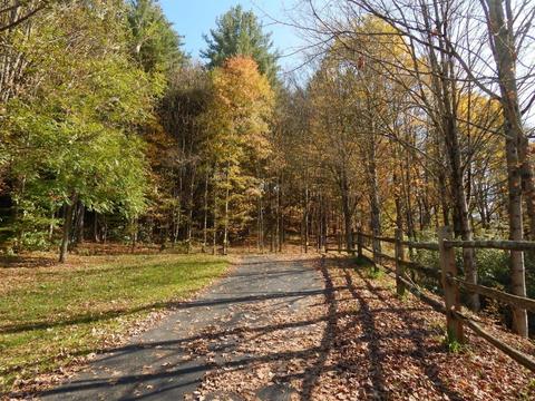215 River Rd, Unadilla, NY 13849 photo 38