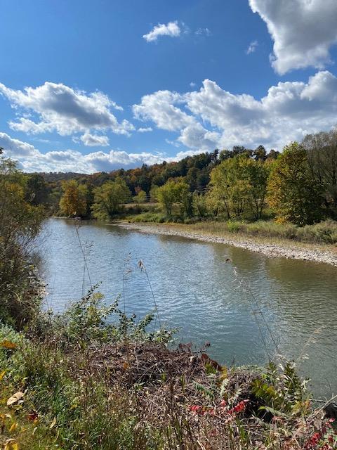 215 River Rd, Unadilla, NY 13849 photo 35