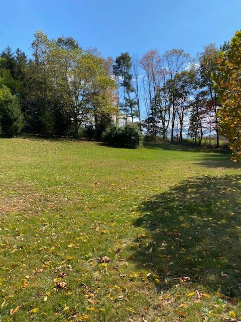 215 River Rd, Unadilla, NY 13849 photo 6