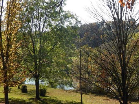 215 River Rd, Unadilla, NY 13849 photo 32