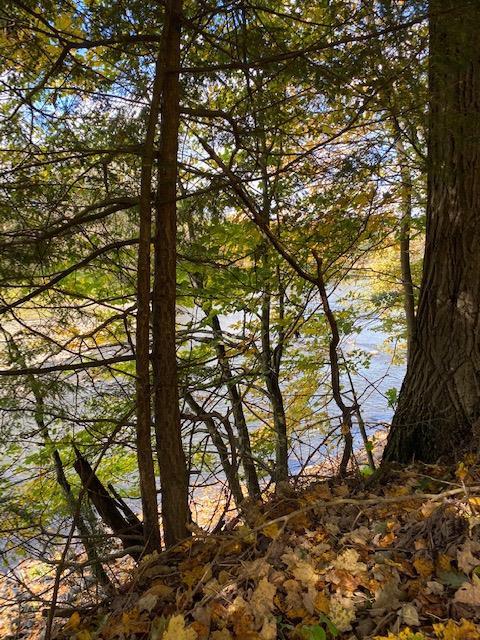 215 River Rd, Unadilla, NY 13849 photo 2