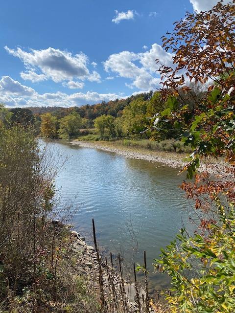 215 River Rd, Unadilla, NY 13849 photo 23