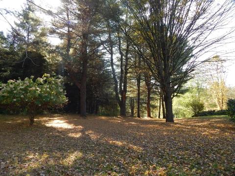 215 River Rd, Unadilla, NY 13849 photo 9