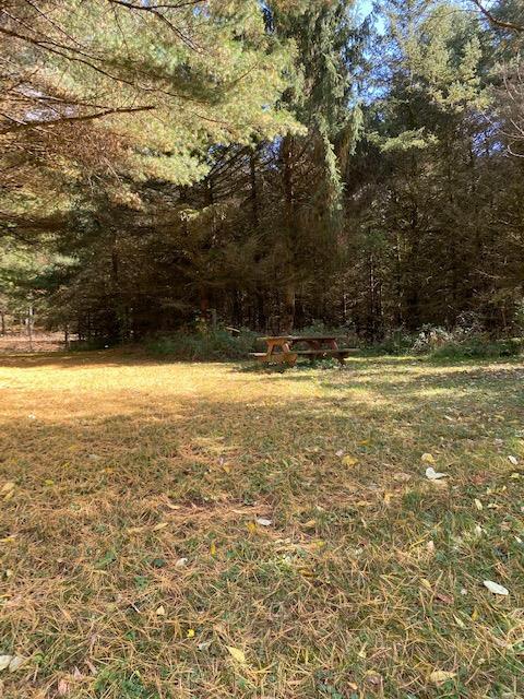 215 River Rd, Unadilla, NY 13849 photo 7