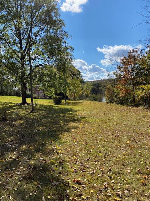 215 River Rd, Unadilla, NY 13849 photo 8