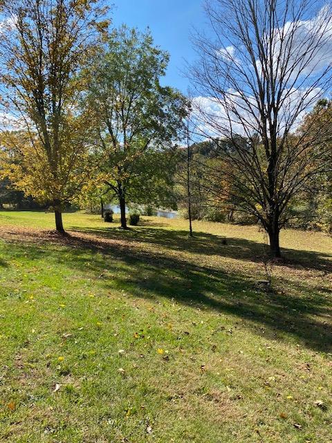 215 River Rd, Unadilla, NY 13849 photo 5