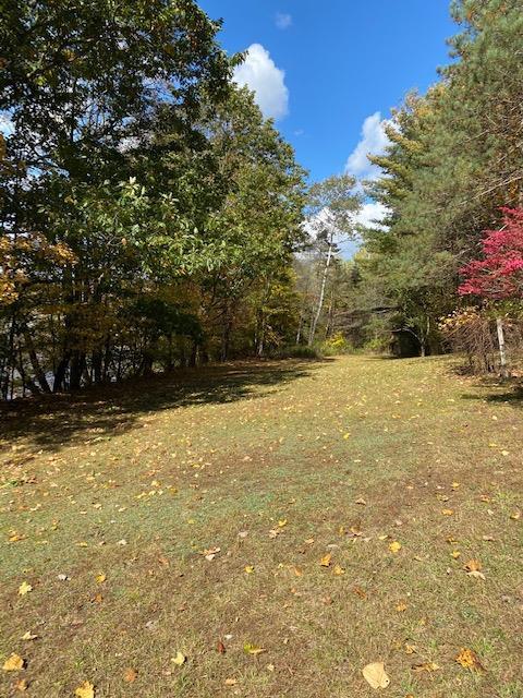 215 River Rd, Unadilla, NY 13849 photo 33
