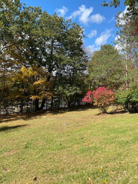 215 River Rd, Unadilla, NY 13849 photo 4