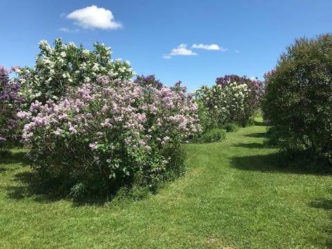 0 Longview Dr, Pittsfield, NY 13335
