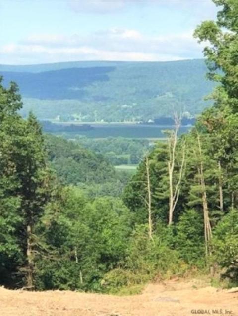 0 Huntersland Rd, Middleburgh, NY 12122