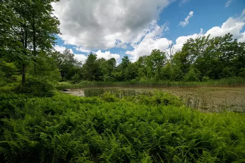 3607 Coe Hill Rd, Davenport, NY 13820