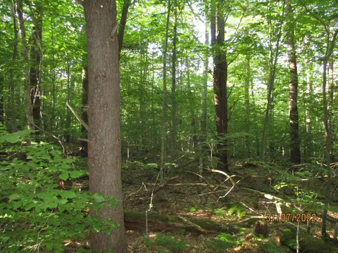 0 Chandas Way Rd, Otego, NY 13796