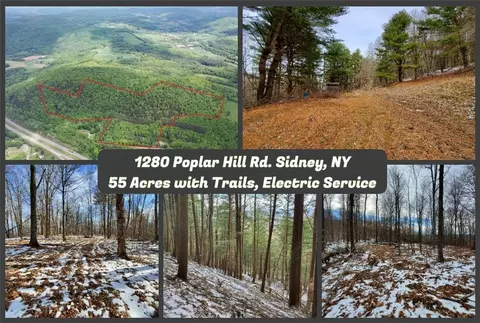 1280 Poplar Hill Rd 1, Sidney, NY 13838