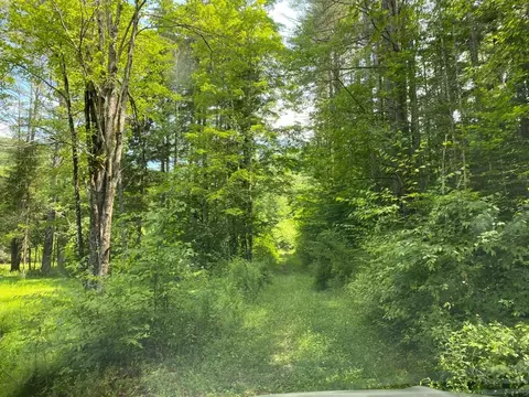 0 Bear Brook Rd, Hancock, NY 13783