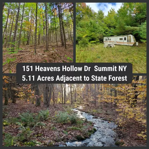 151 Heavens Hollow Dr, Summit, NY 12175